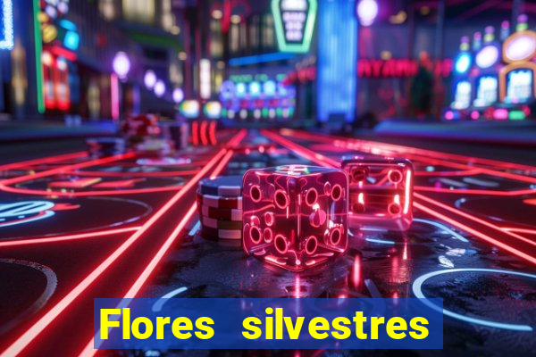 Flores silvestres brasileiras 25