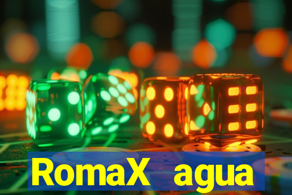 RomaX agua sanitaria fispq agua sanitaria romax