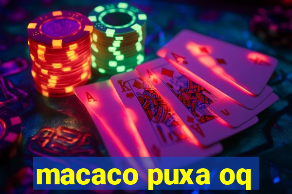 macaco puxa oq