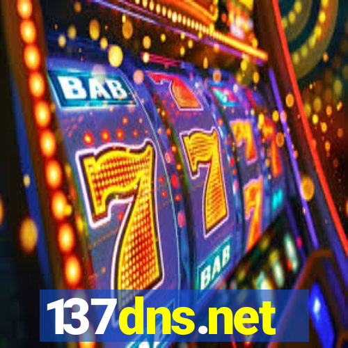 137dns.net