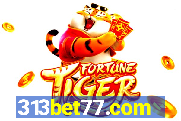 313bet77.com