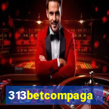 313betcompaga