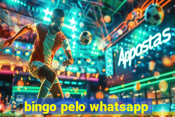 bingo pelo whatsapp