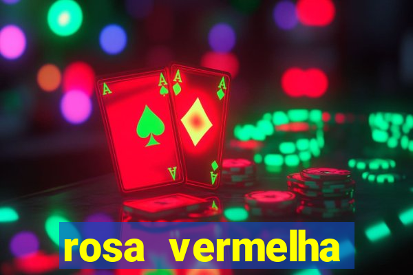 rosa vermelha (letra e cifra)