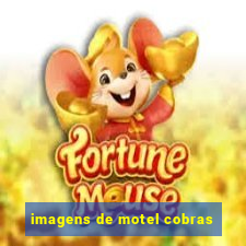 imagens de motel cobras