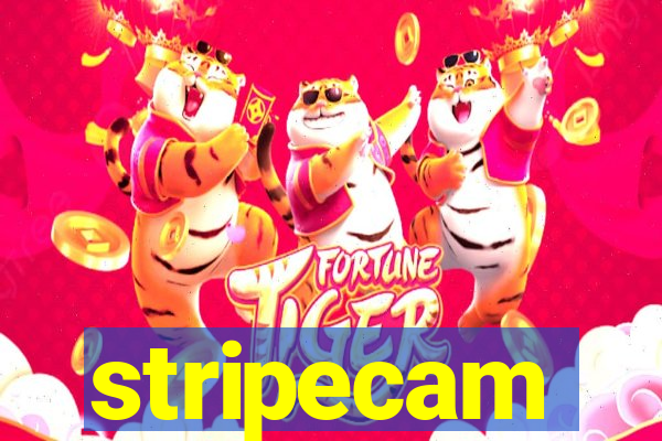 stripecam